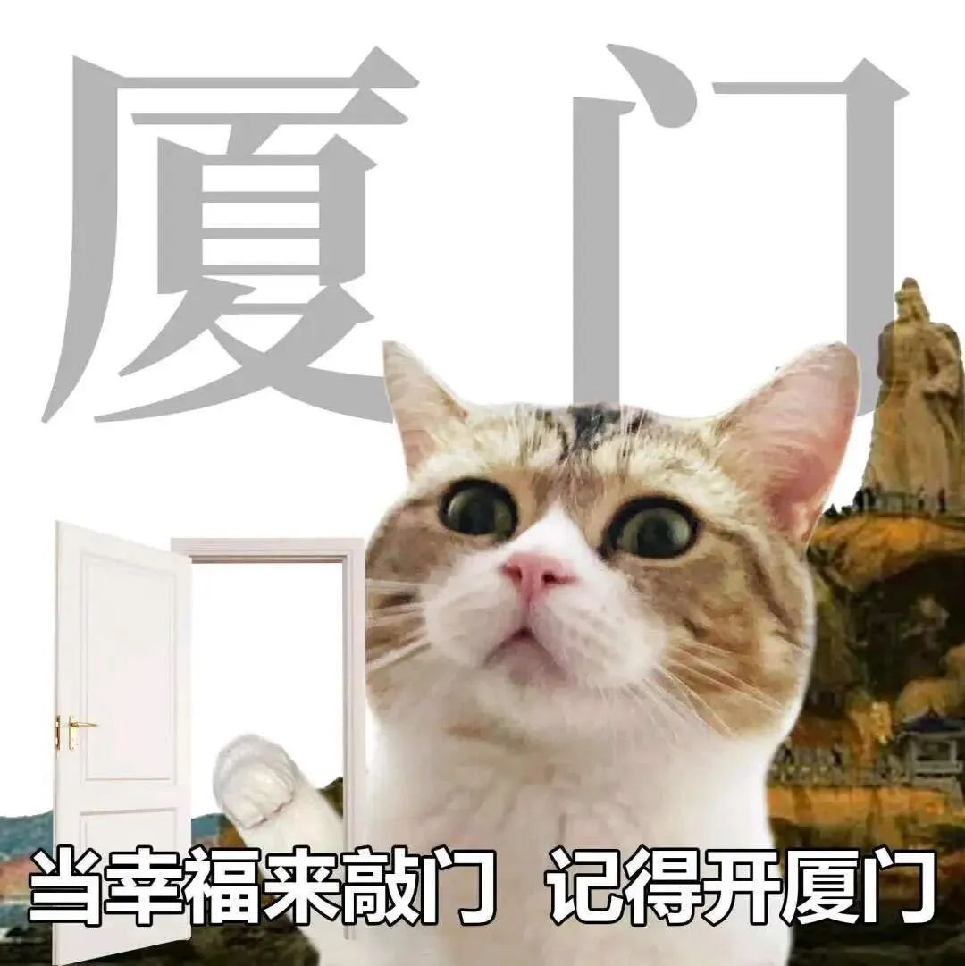可爱猫咪开门表情包，配文“当幸福来敲门 记得开厦门”超有趣 城市旅游表情包｜欢迎来到我的淄博间表情包图片gif动图 - 求表情网,斗图从此不求人!