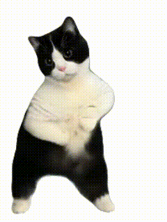 发颠的猫猫meme抽象表情包合集