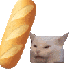 发颠的猫猫meme抽象表情包合集