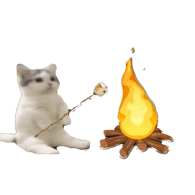 可爱猫咪像人一样坐着烤棉花糖,画面超萌超有趣 发颠的猫猫meme抽象表情包合集表情包图片gif动图 - 求表情网,斗图从此不求人!