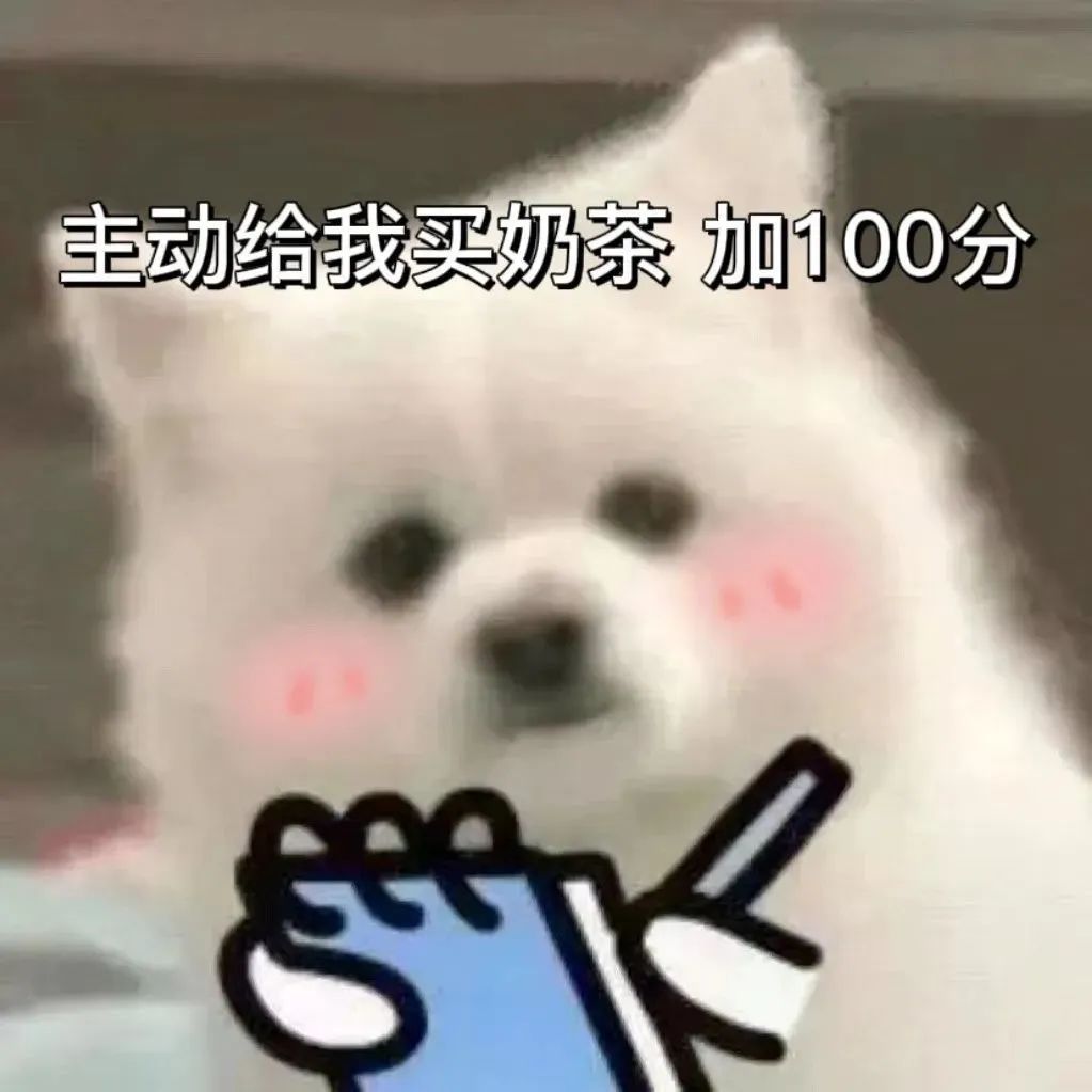 可爱小狗表情包：主动给我买奶茶加100分，萌翻你的心 聊天好用的扣分小狗表情包