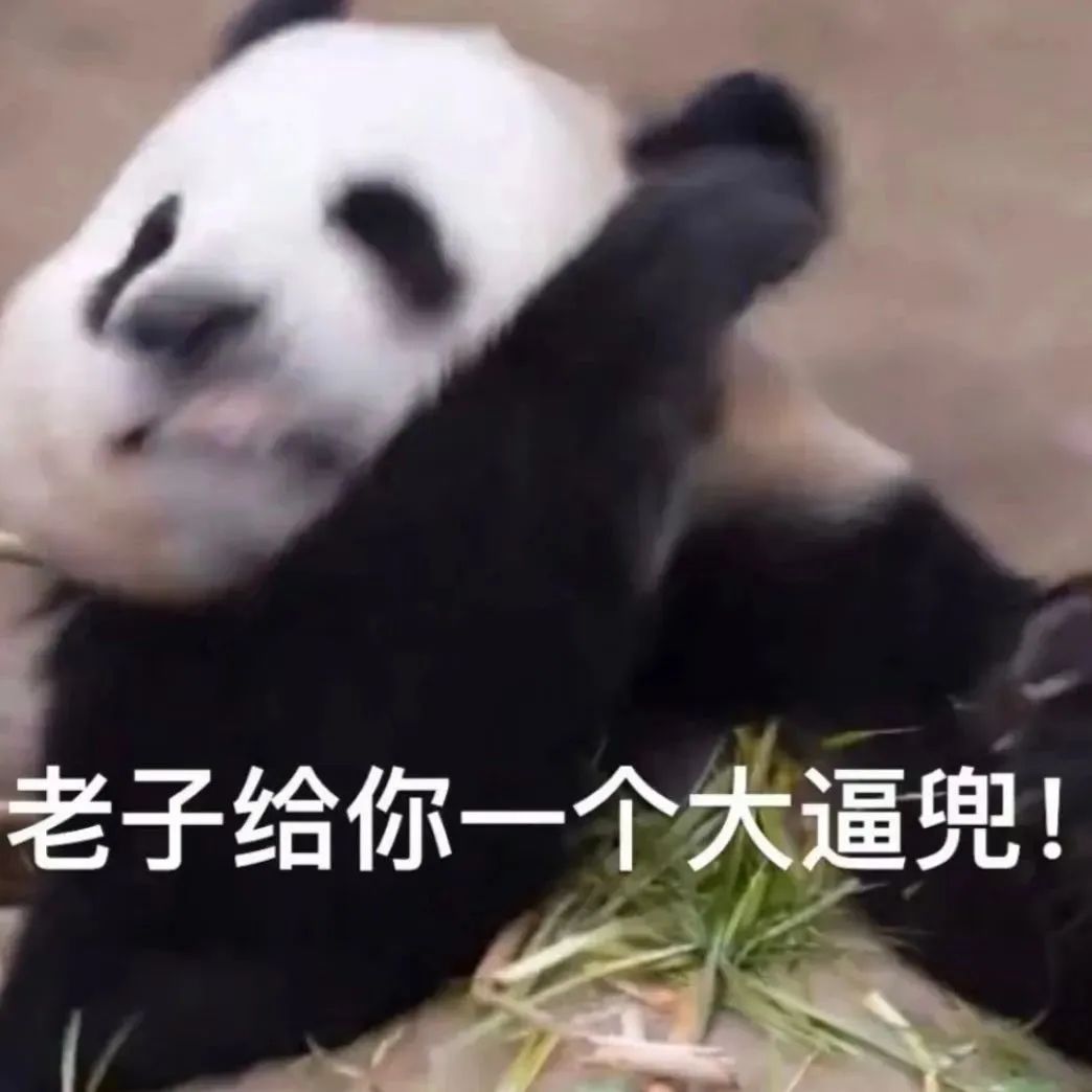 熊猫霸气侧漏,配文“老子给你一个大逼兜”的搞笑表情包 表情包|我真的需要这份工作吗表情包图片gif动图 - 求表情网,斗图从此不求人!