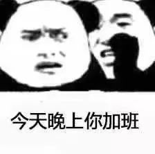 在? 看看鸟 | 每日表情包更新