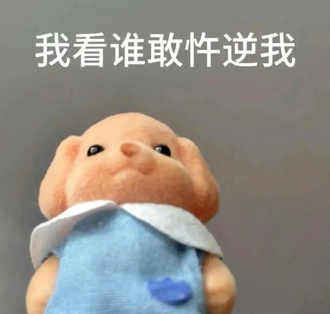 1000个抽象热门表情包大全 相关表情包,表情包专辑 - 求表情网,斗图从此不求人!