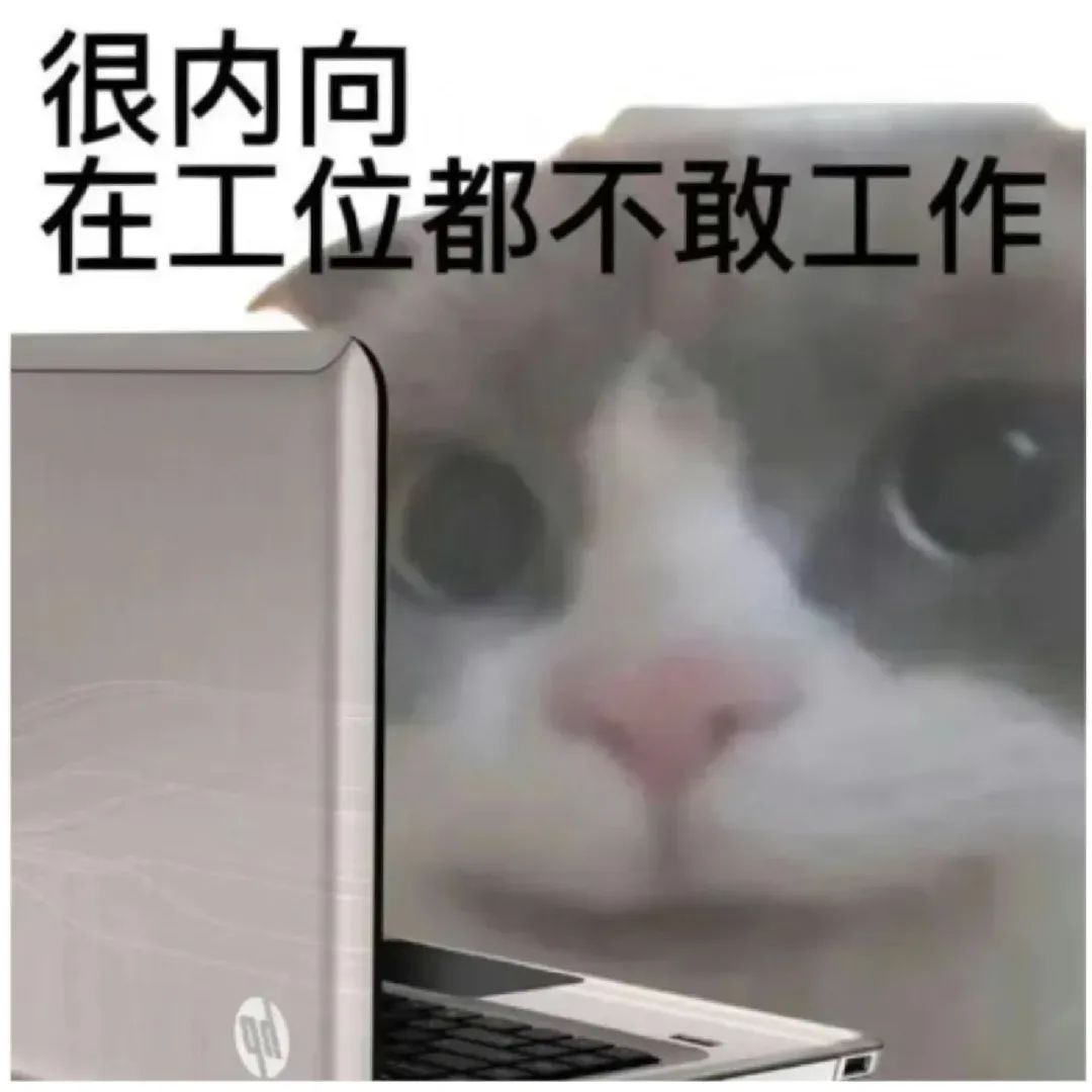 很内向在工位都不敢工作的猫咪表情包 上班加班下班表情包|问薪吾溃表情包图片gif动图 - 求表情网,斗图从此不求人!