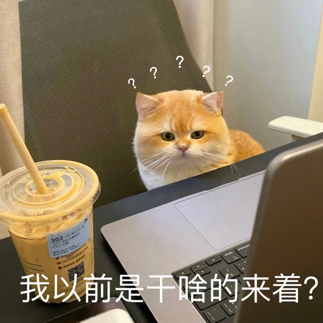 可爱橘猫配文“我以前是干啥的来着？”的呆萌疑惑表情包 上班加班下班表情包｜问薪吾溃表情包图片gif动图 - 求表情网,斗图从此不求人!