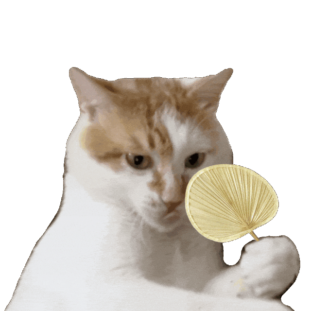 可爱猫咪手持小扇，表情呆萌超有趣 10000个很火的抽象神经表情包表情包图片gif动图 - 求表情网,斗图从此不求人!