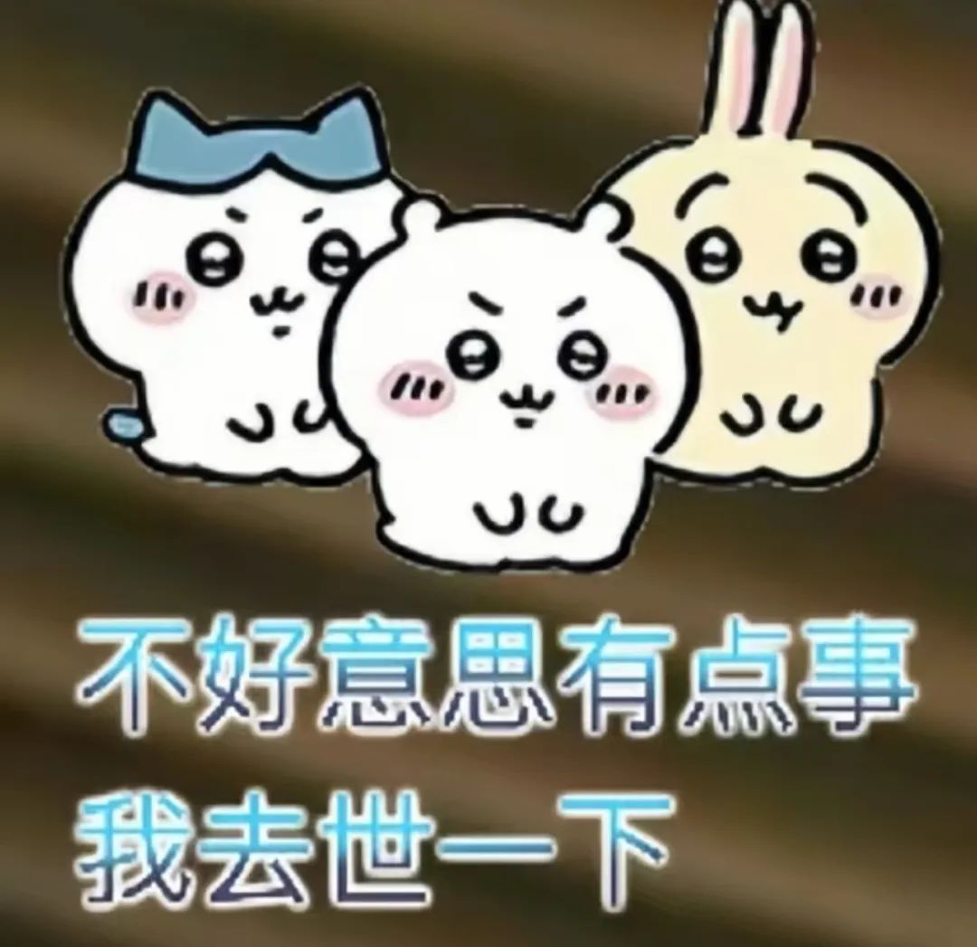 三只可爱萌宠表情搞怪,配文“不好意思有点事 我去世一下”超逗趣 吉伊卡哇chiikawa抽象文字表情包表情包图片gif动图 - 求表情网,斗图 ...