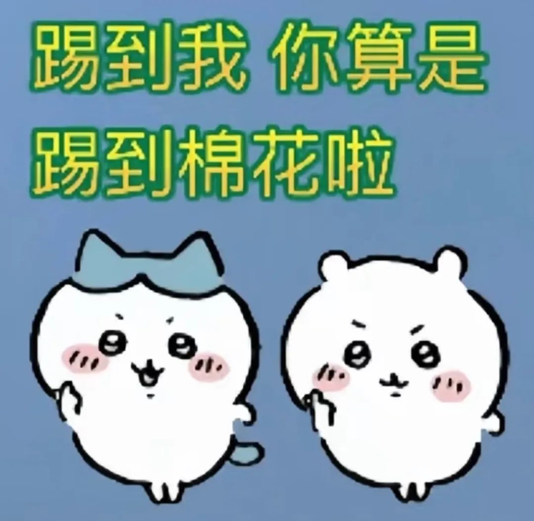 可爱萌宠表情包：踢到我你算是踢到棉花啦，软软萌萌超有趣 吉伊卡哇chiikawa抽象文字表情包表情包图片gif动图 - 求表情网,斗图从此不求人!
