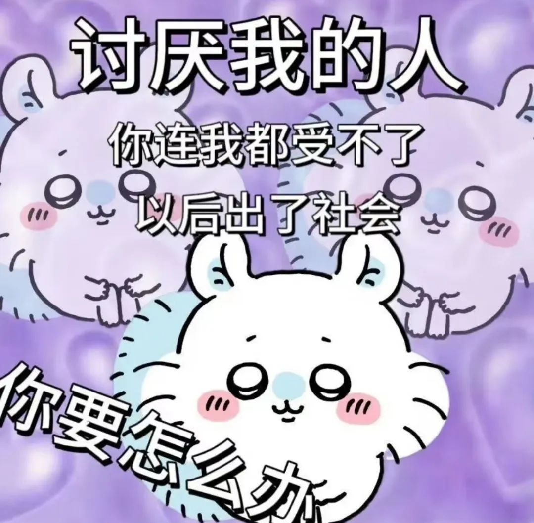 《可爱仓鼠表情包:讨厌我的人,出社会后你要怎么办》 吉伊卡哇chiikawa抽象文字表情包表情包图片gif动图 - 求表情网,斗图从此不求人!