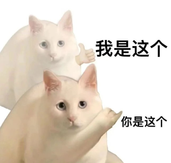 两只可爱白猫对比,配文“我是这个 你是这个”超有趣 大学生爱用的抽象表情包表情包图片gif动图 - 求表情网,斗图从此不求人!
