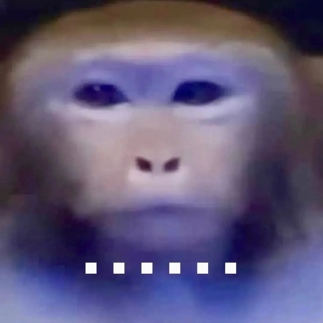 猴子表情严肃,一脸正经,仿佛在认真思考的搞笑表情包 聊天好用表情包表情包图片gif动图 - 求表情网,斗图从此不求人!