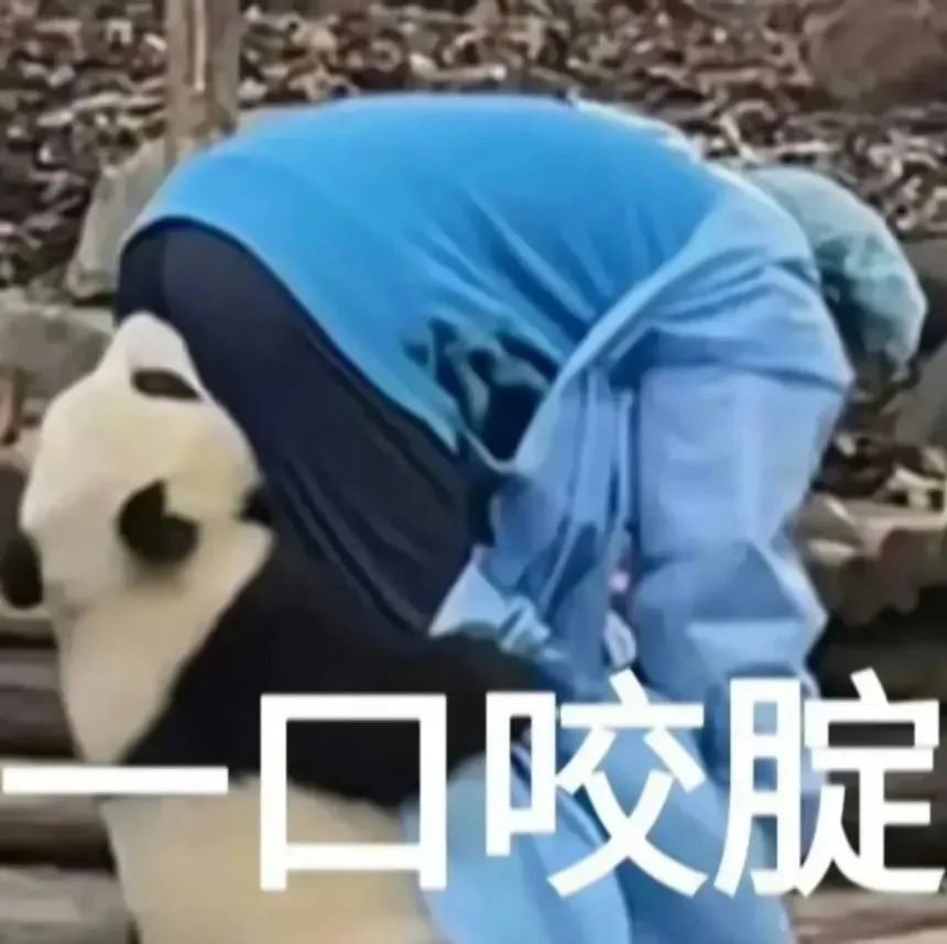 熊猫面对穿蓝衣服的人,下方配文“一口咬腚”,画面搞笑 好玩的聊天表情包表情包图片gif动图 - 求表情网,斗图从此不求人!