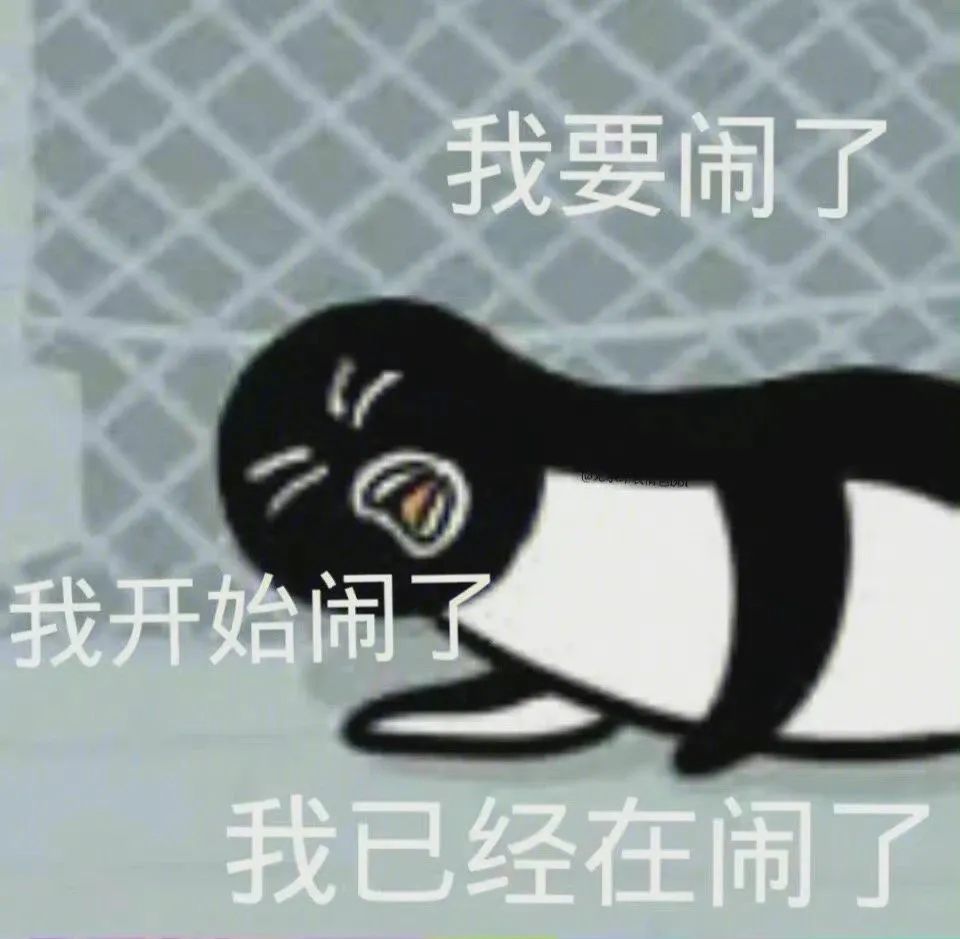 《可爱企鹅的“闹”三部曲:我要闹了、我开始闹了、我已经在闹了》 抽象实用表情包表情包图片gif动图 - 求表情网,斗图从此不求人!