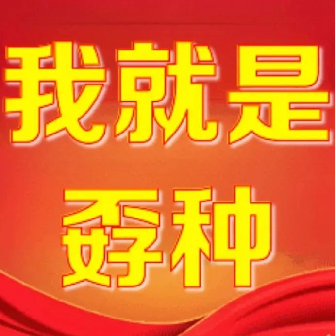 《霸气宣言!红色背景上“我就是孬种”尽显独特个性》 文字表情包丨我就是孬种表情包图片gif动图 - 求表情网,斗图从此不求人!