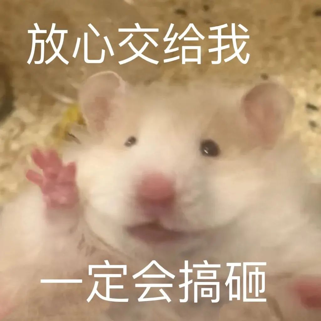 可爱仓鼠举手表情,配文“放心交给我 一定会搞砸”幽默俏皮 仓鼠表情包丨精神状态稳定表情包图片gif动图 - 求表情网,斗图从此不求人!