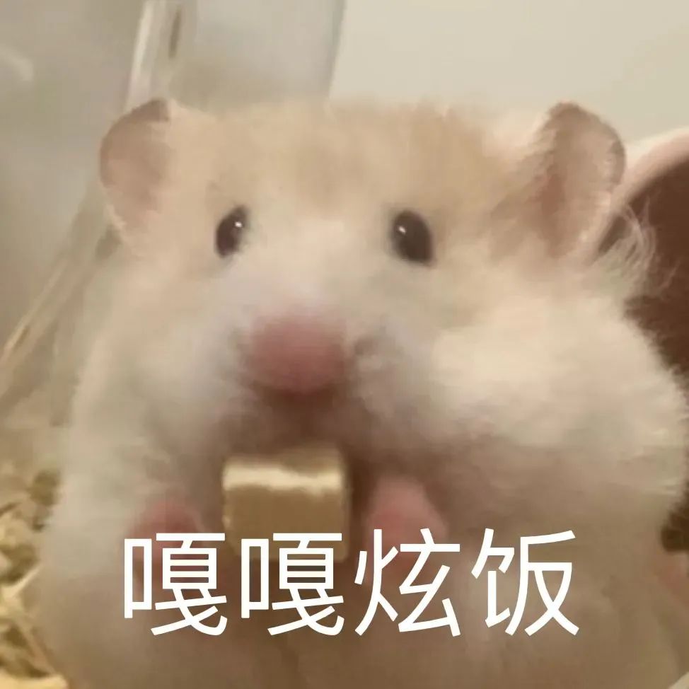 嘎嘎嘎嘎嘎嘎 鸭鸭表情包 大白鸭街头张嘴“嘎嘎嘎嘎嘎”叫的搞笑动态表情包表情包图片gif动图 - 求表情网,斗图从此不求人!