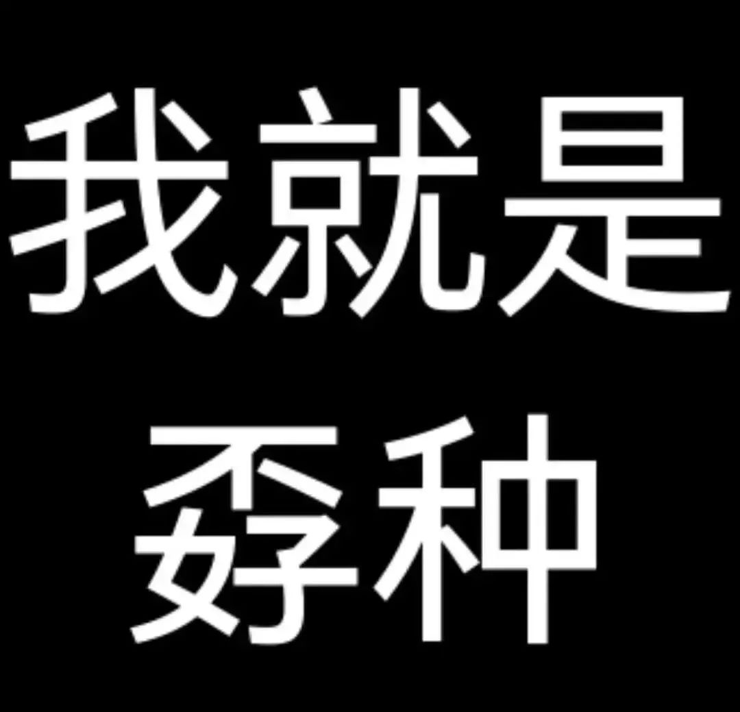 霸气自黑!“我就是孬种”表情包,尽显无奈自嘲 表情包:谁问你了?表情包图片gif动图 - 求表情网,斗图从此不求人!
