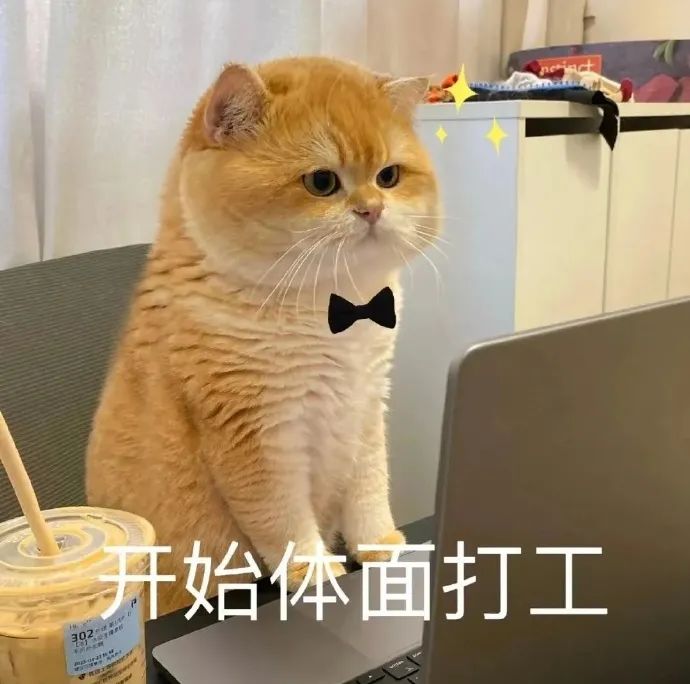 橘猫戴着领结坐在电脑前,配文“开始体面打工”超可爱 猫猫表情包分享之《到底是谁喜欢上班》表情包图片gif动图 - 求表情网,斗图从此不求人!