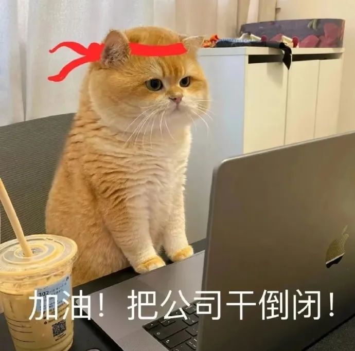 橘猫头戴红头巾坐电脑前，配文“加油！把公司干倒闭！” 猫猫表情包分享之《到底是谁喜欢上班》表情包图片gif动图 - 求表情网,斗图从此不求人!