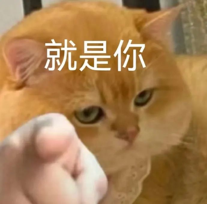 可爱橘猫配文“就是你”，表情傲娇，手指指向更添趣味 猫猫表情包分享之《到底是谁喜欢上班》表情包图片gif动图 - 求表情网,斗图从此不求人!