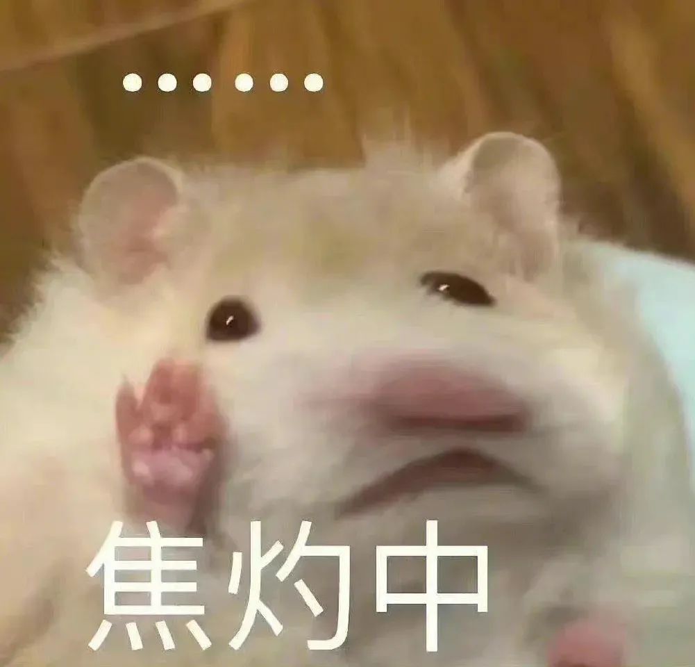 可爱仓鼠举爪一脸焦灼,萌态十足超有表现力 黑丝照片什么时候发 | ๑超赞表情包๑表情包图片gif动图 - 求表情网,斗图从此不求人!
