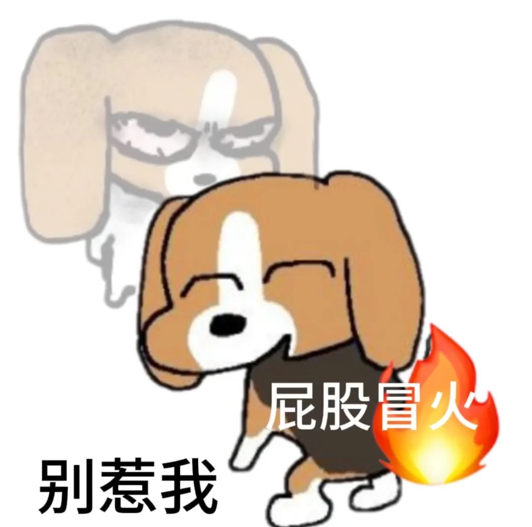 “别惹我”!生气小狗屁股冒火,可爱又暴躁的情绪表达 比格狗狗表情包丨V我50表情包图片gif动图 - 求表情网,斗图从此不求人!