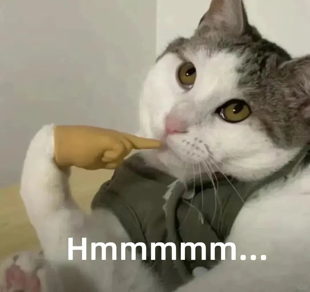 猫咪被手指抵住嘴巴,表情呆萌配文“Hmmmm...”可爱爆表 可爱动物英语表情包|love ya表情包图片gif动图 - 求表情网,斗图从此不求人!