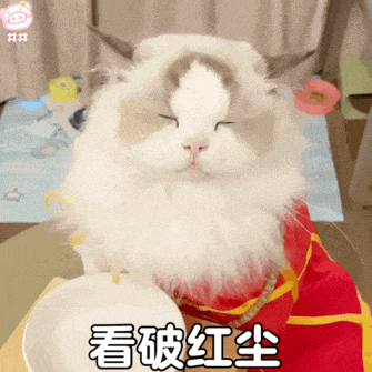 闭眼猫咪身披红衣，一脸淡然仿佛看破红尘的可爱模样 搞怪斗图表情包