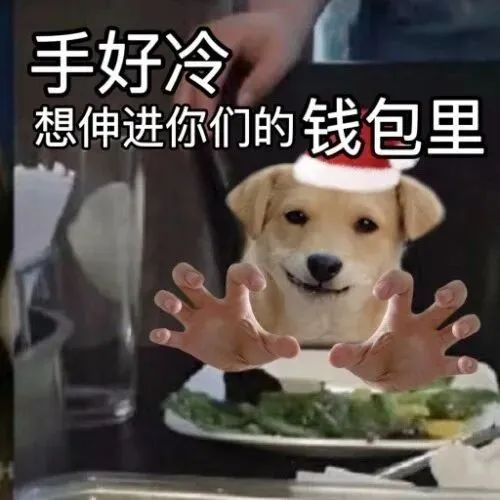 可爱小狗戴圣诞帽,双手伸出配文“手好冷想伸进你们的钱包里” 奇怪的表情包增加了Meme GIF - MemeVerse, Never Lose ...