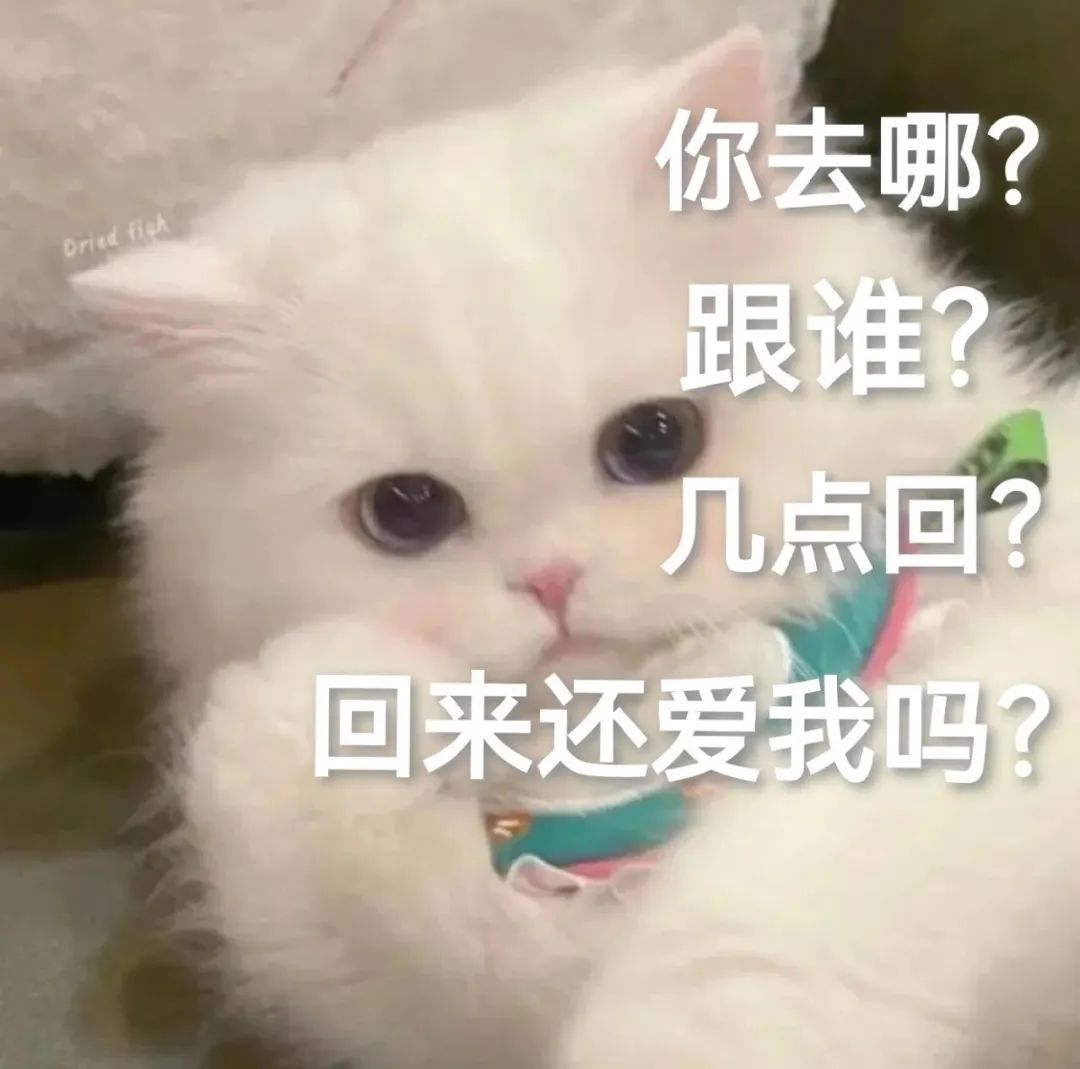 可爱小白猫的灵魂四连问:你去哪?跟谁?几点回?回来还爱我吗? 表情包丨求求了表情包图片gif动图 - 求表情网,斗图从此不求人!