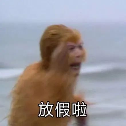 《放假啦》表情包,一只猴子兴奋大喊,传递快乐假期氛围 超好玩的搞笑有趣表情包Meme GIF - MemeVerse, Never Lose ...