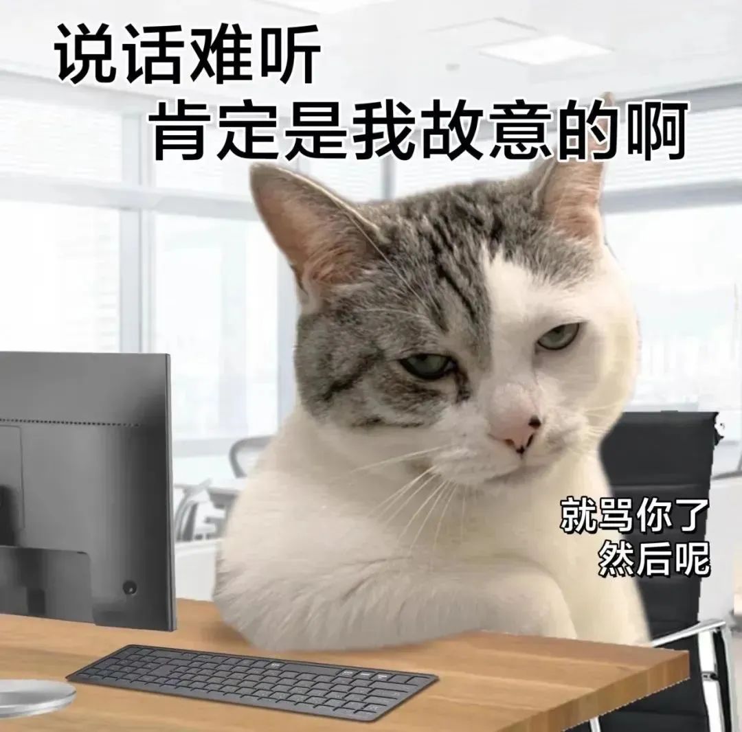 《傲娇猫咪办公图：说话难听肯定是我故意的，就骂你了然后呢》 抽象的表情包表情包图片gif动图 - 求表情网,斗图从此不求人!