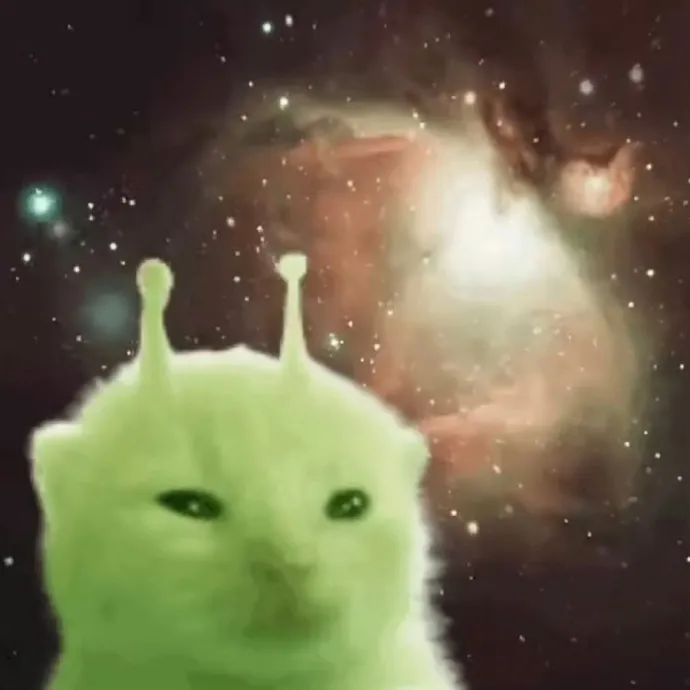 戴着天线的绿毛猫,置身于神秘浩瀚的宇宙星空背景中 在地球刷到了来自外太空的meme表情包 表情包图片gif动图 - 求表情网,斗图从此不求人!