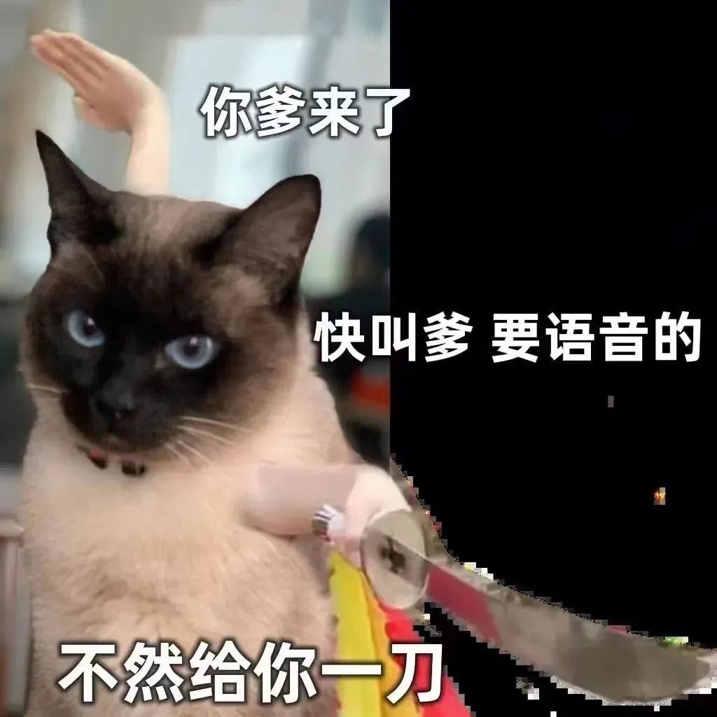 霸气猫咪手持大刀，配文“你爹来了 快叫爹要语音的 不然给你一刀” 表情包｜我没惹你们任何人。表情包图片gif动图 - 求表情网,斗图从此不求人!