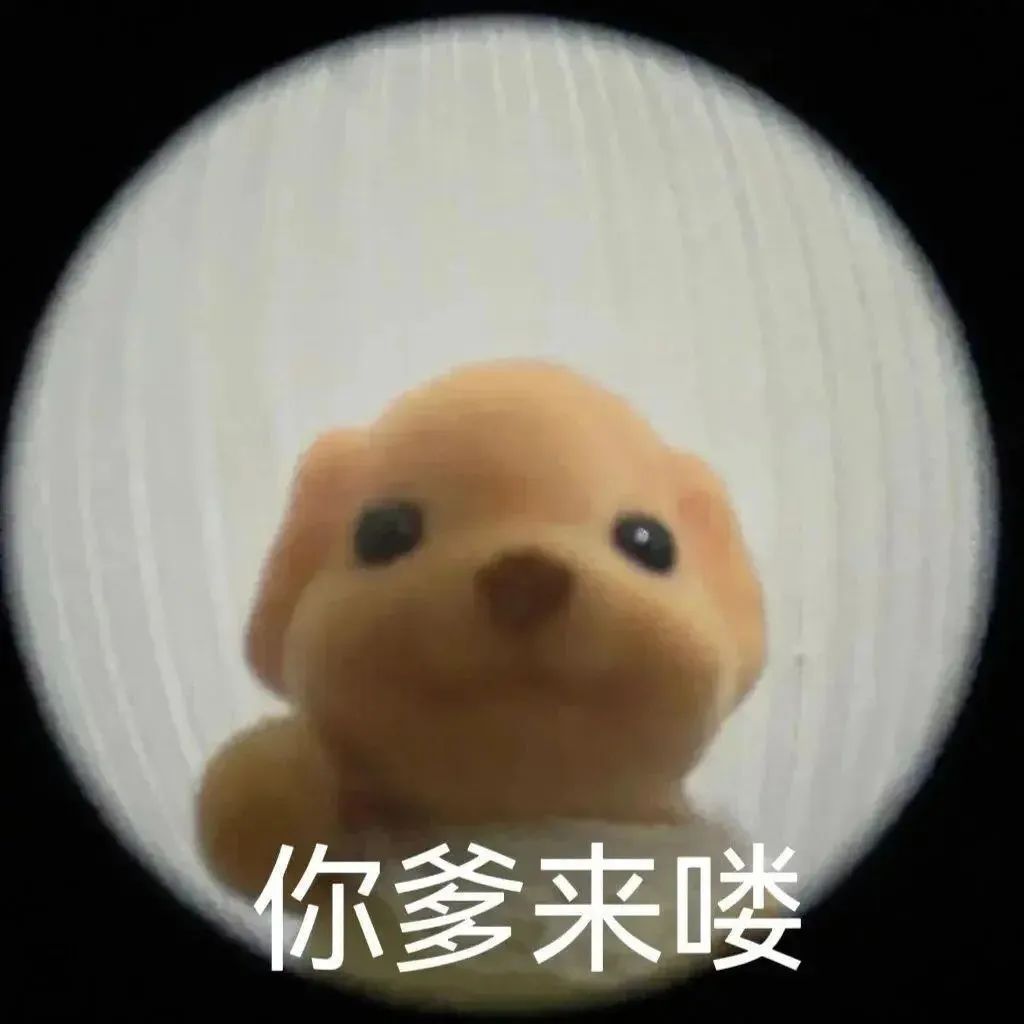 可爱小狗玩偶配文“你爹来喽”，俏皮又霸气的表情包 森贝儿表情包 | 我会永远监视你表情包图片gif动图 - 求表情网,斗图从此不求人!