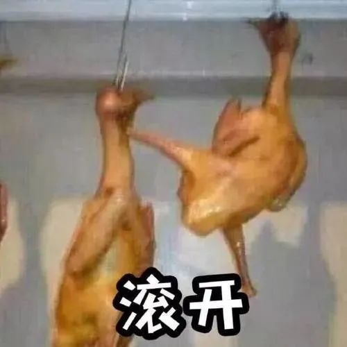 两只挂着的烧鸡仿佛在互怼，配文“滚开”超搞笑 继续，我还受得了 | ๑表情包！表情包图片gif动图 - 求表情网,斗图从此不求人!