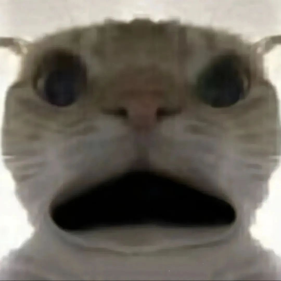 震惊!猫咪突然瞪大双眼张大嘴巴,表情夸张到模糊 猫咪表情包:本喵乃清朝第一杀手表情包图片gif动图 - 求表情网,斗图从此不求人!
