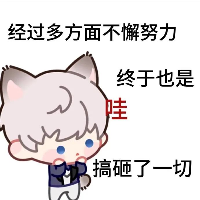 《经过多方面不懈努力，终于也是“哇”搞砸了一切》 兔叽咪表情包表情包图片gif动图 - 求表情网,斗图从此不求人!