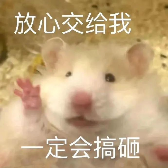 可爱仓鼠举手表情，配文“放心交给我 一定会搞砸”超搞笑 我的WeChat不能没有鼠鼠表情包表情包图片gif动图 - 求表情网,斗图从此不求人!