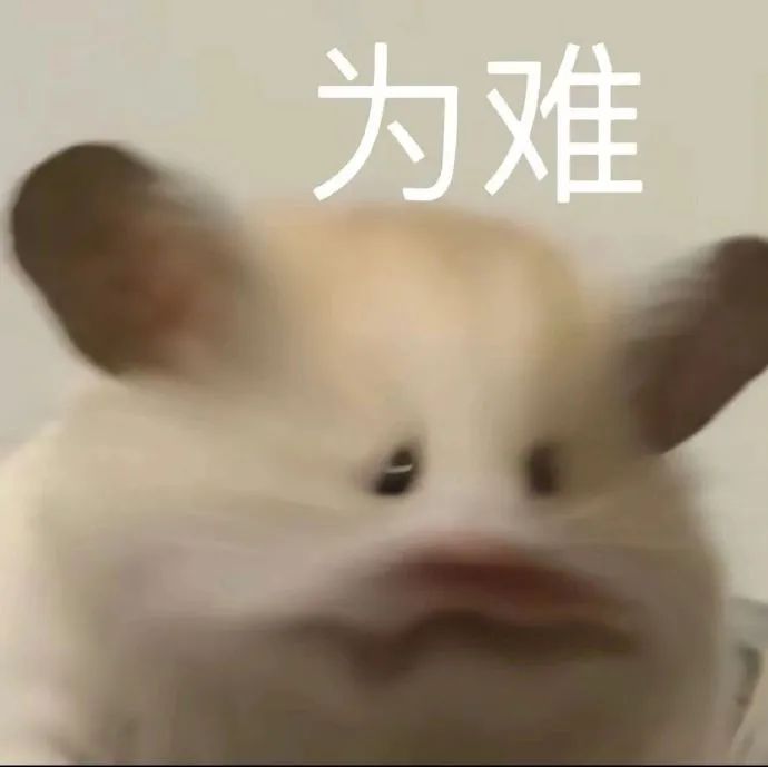 可爱仓鼠一脸为难,生动演绎纠结无奈的小表情 我的WeChat不能没有鼠鼠表情包表情包图片gif动图 - 求表情网,斗图从此不求人!