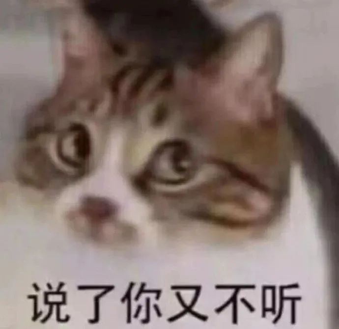 无奈猫咪表情包,配文“说了你又不听”尽显无奈 表情包:别跟我玩欲擒故纵表情包图片gif动图 - 求表情网,斗图从此不求人!