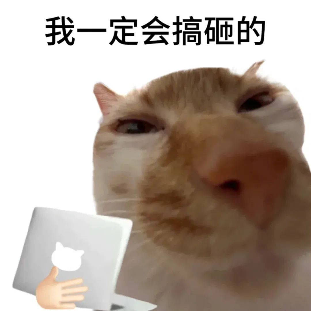 猫咪表情凶狠配文“我一定会搞砸的”,还有手拿电脑的动作,很魔性 表情包:越拒绝,我越兴奋表情包图片gif动图 - 求表情网,斗图从此不求人!
