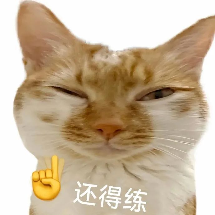 猫咪眯眼一脸嫌弃,旁边配文“还得练”,表情超搞笑 网红白底meme表情包 表情包图片gif动图 - 求表情网,斗图从此不求人!