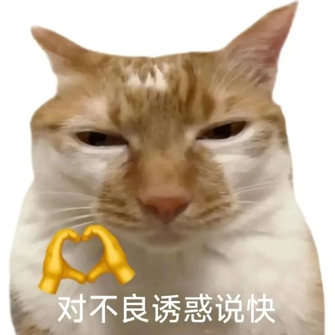 猫咪表情严肃,配文“对不良诱惑说快”,还有爱心手势超有趣 网红白底meme表情包 表情包图片gif动图 - 求表情网,斗图从此不求人!