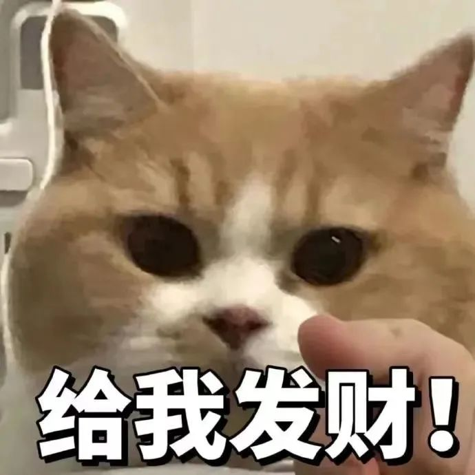 可爱橘猫配文“给我发财”，招财萌猫表情包来袭 表情包｜给你阳光给多了表情包图片gif动图 - 求表情网,斗图从此不求人!