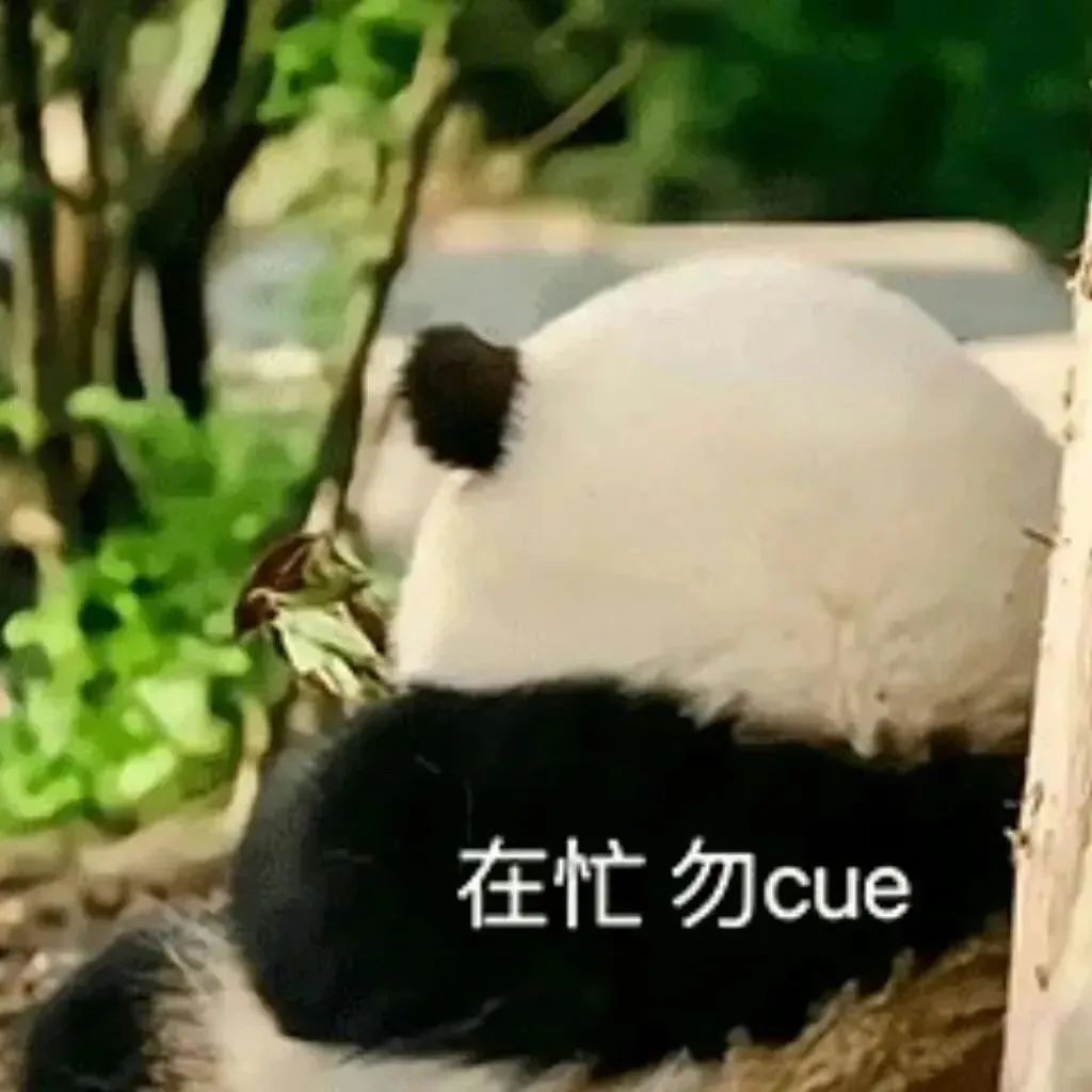 可爱熊猫背对镜头,配文“在忙勿cue”,尽显忙碌拒绝打扰的姿态 表情包|出身寒门不怕热表情包图片gif动图 - 求表情网,斗图从此不求人!