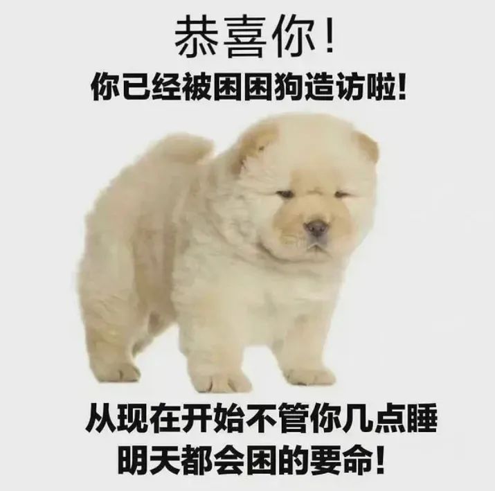 《恭喜你！被困困狗造访，明早不管几点睡都会困得要命》 你就这么长 这组表情包 i了！表情包图片gif动图 求表情网,斗图从此不求人!
