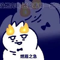 猫咪头顶冒火表情滑稽,配文“燃眉之急”尽显急切可爱 稳定发癫表情包表情包图片gif动图 - 求表情网,斗图从此不求人!