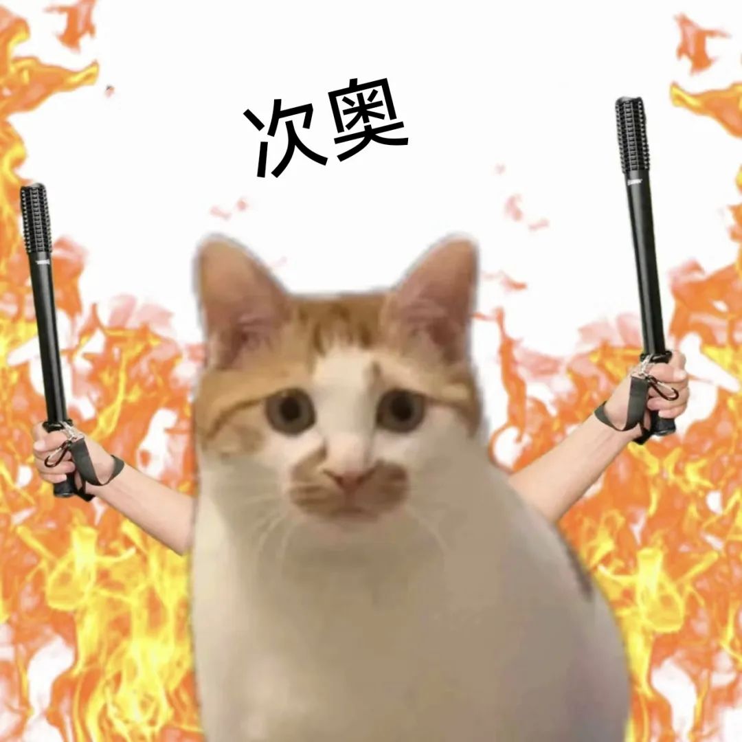 猫咪手持双棍表情凶狠,背后火焰熊熊的霸气表情包 表情包:次奥表情包图片gif动图 - 求表情网,斗图从此不求人!